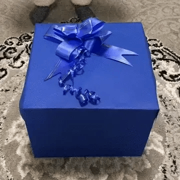 BoomCraft – La révélation explosive du cadeau