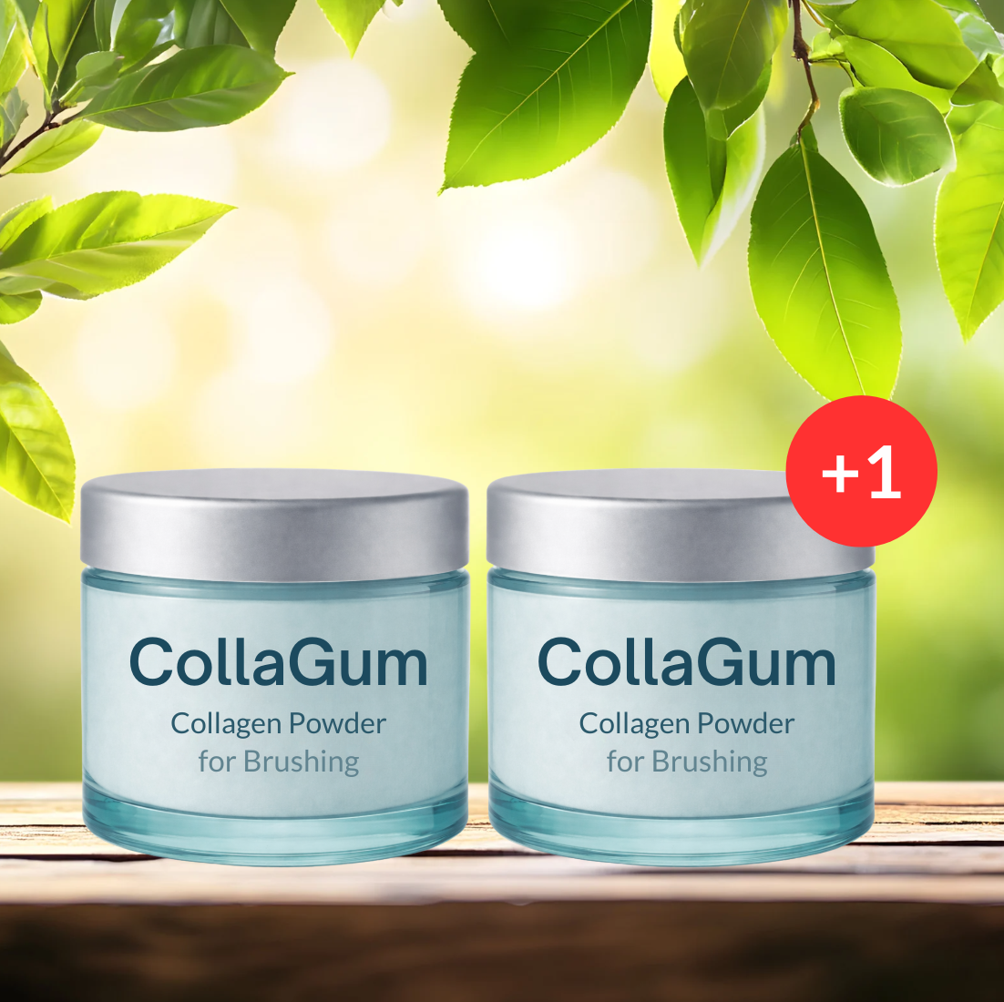 CollaGum™