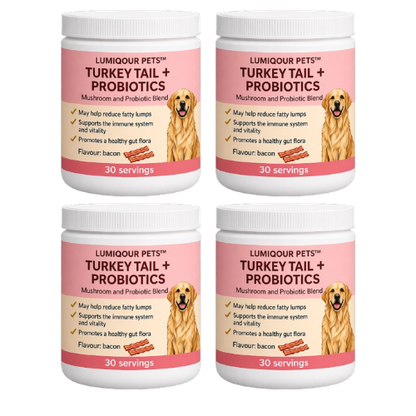 Turkey Tail + Probiotics