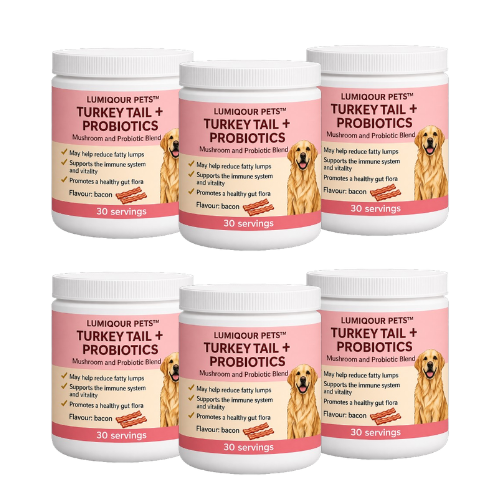 Turkey Tail + Probiotics