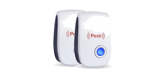 1+1 FREE